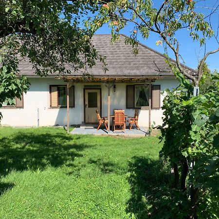 Urlaub Im Weingarten Winten  Exterior photo