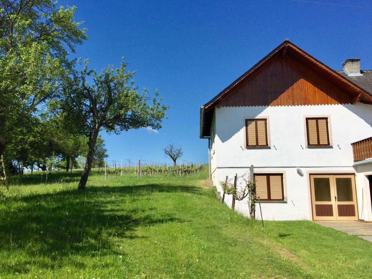 Urlaub Im Weingarten Winten  Exterior photo